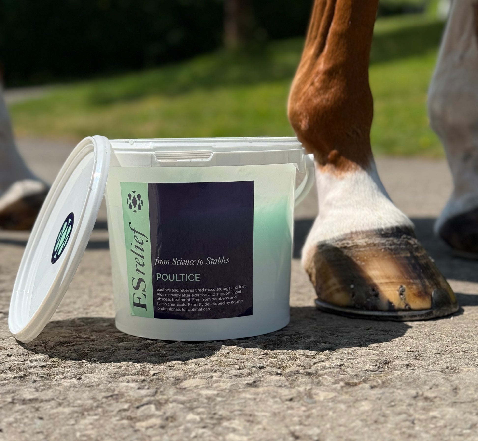 ES Relief Poultice 3.5kg